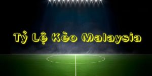 Có 4 tỷ lệ kèo Malaysia phổ biến